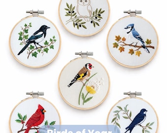 Un año de pájaros: Paquete de 12 patrones de bordado a mano en PDF. Diseños imprimibles. Manualidades para principiantes. Regalo ideal para amantes de la naturaleza.