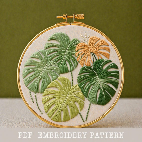 monstera im korb Monstera deliciosa mit Korb kaufen | 50-80cm