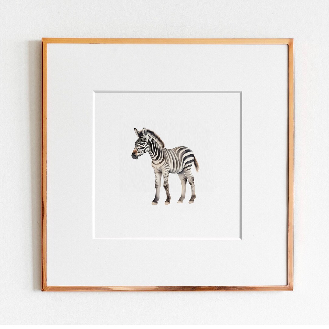 Baby Zebra Nursery Print Baby Zebra Nursery Decor Digital Etsy