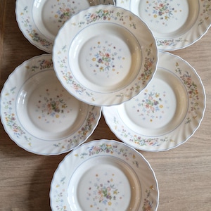 Set of 6 vintage Arcopal soup plates – Pastel floral pattern – Made in France