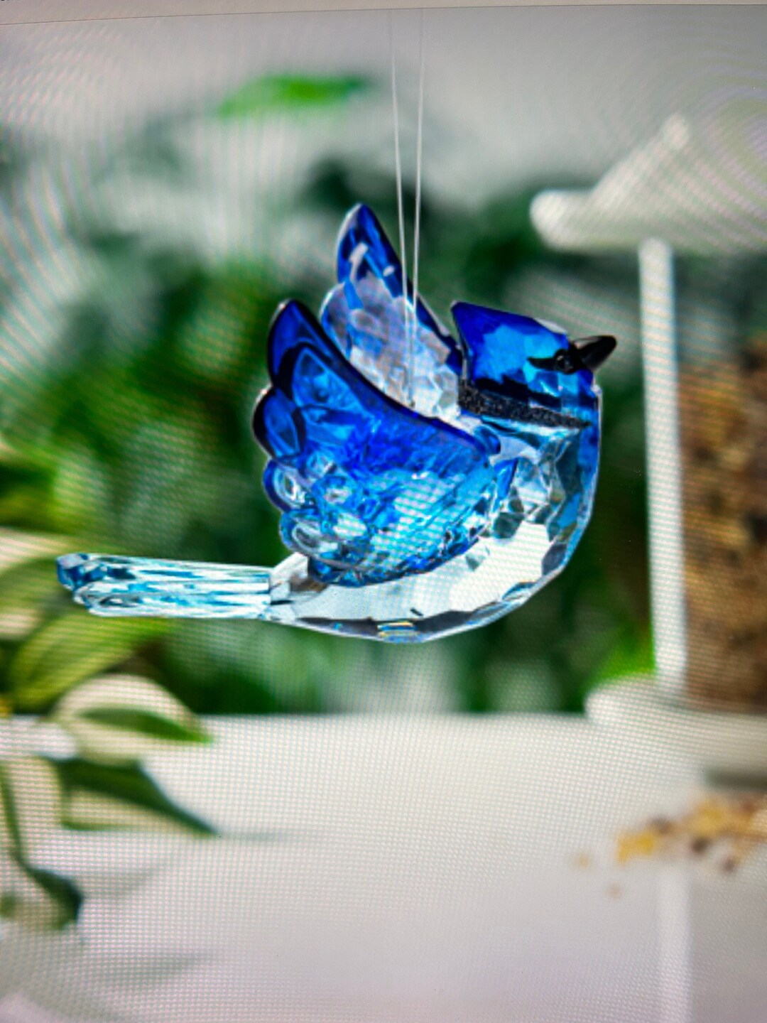 Blue Jay, Blue Jay Suncatcher, Blue Bird, Blue Jay, Wings of Change