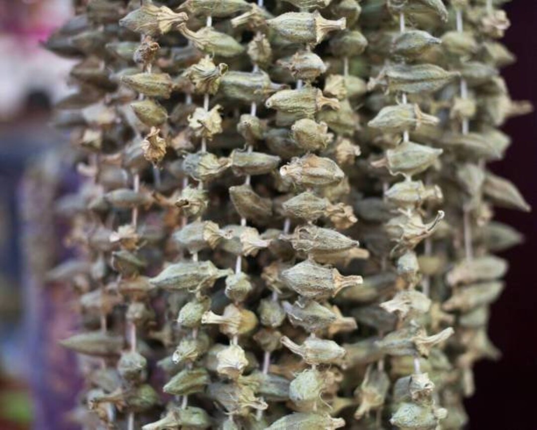 Okra Dried/ Gombo/ Organic and Natural Dried Okra/ Sun Dried Fruits and