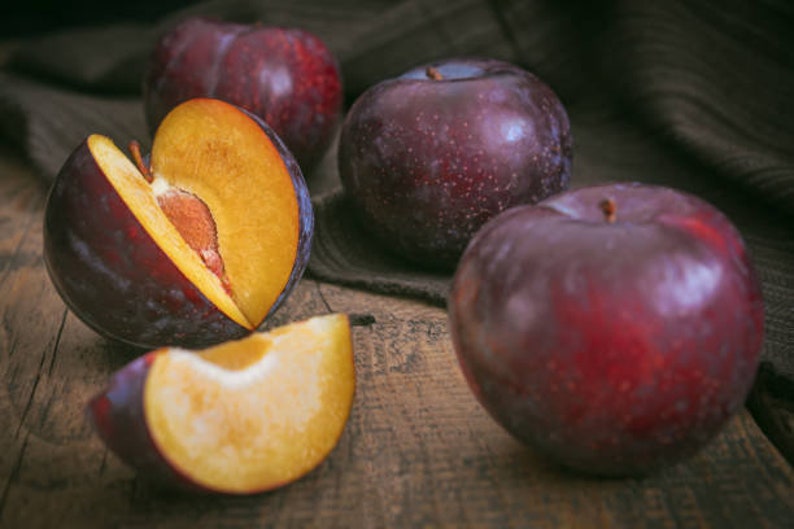 Damson Plum Türkish Blue Plum Fresh Plums Blue Plum Etsy