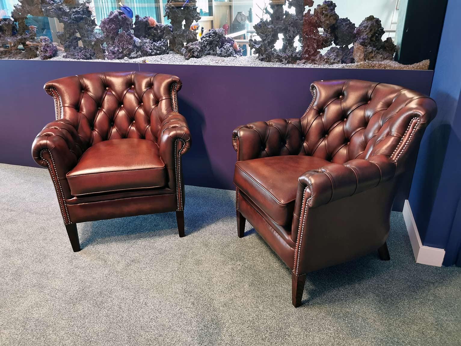 Set of Compact Chesterfield Tub Chairs in Antique Brown Leather