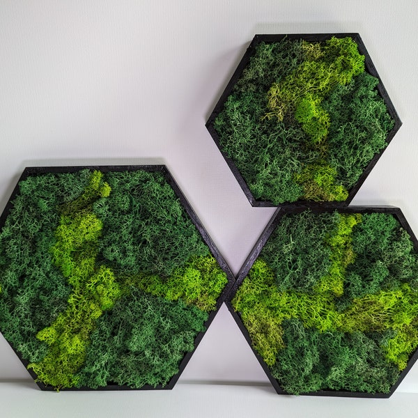 Moosbild als Hexagon 3er Set mit schwarzen Rahmen, Bienenwaben Wandbild mit konservierten Islandmoos mit 2 Grüntönen, Naturdeko