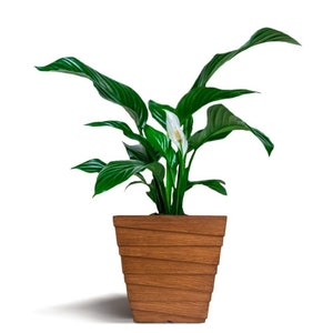 Square Fiberstone Planter, Wood-Like Design, Lightweight, Extremely Durable Garden Pot, Planter For Patio, Indoors And Outdoors, 12&quot;X12&quot;