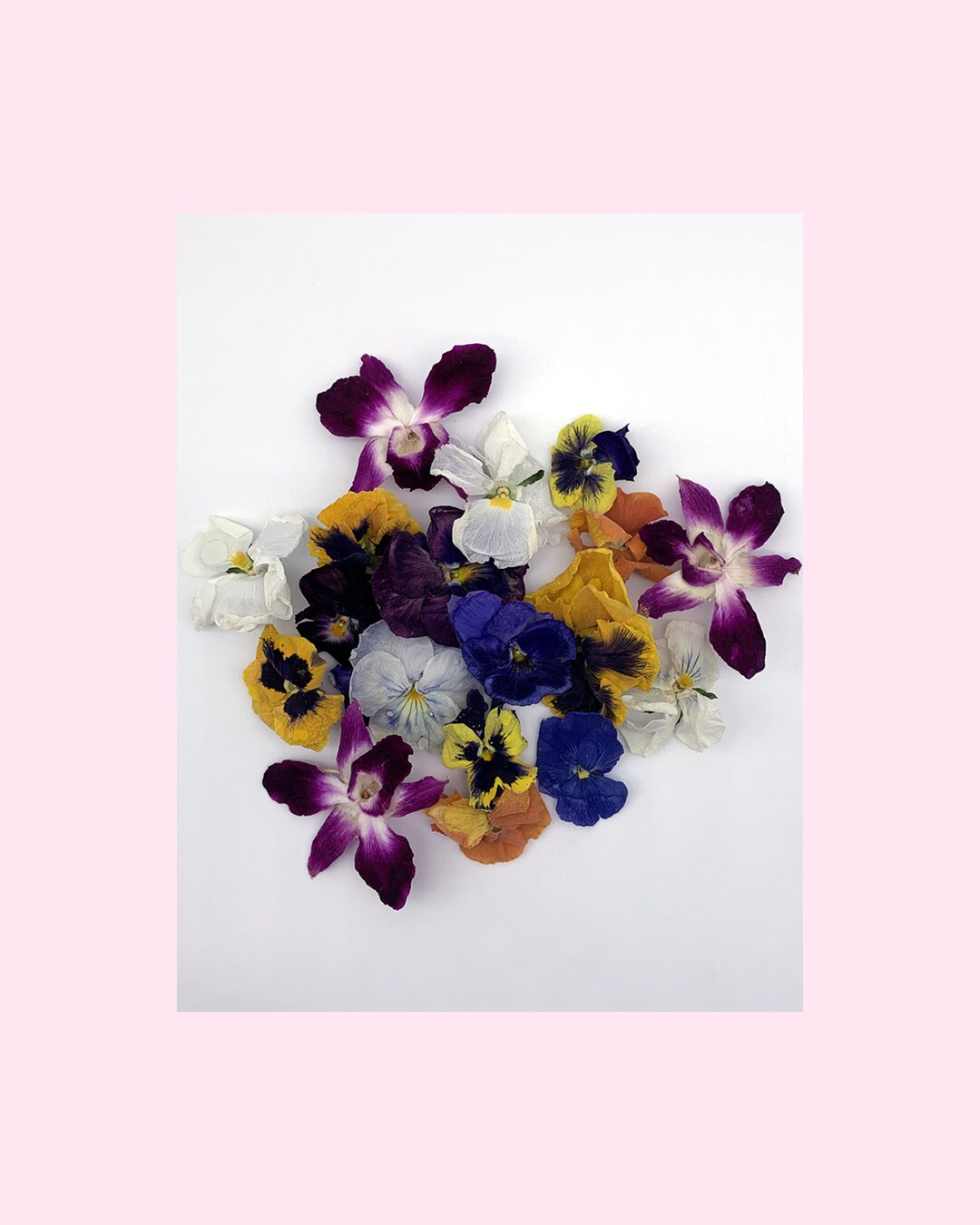 Freeze Dried Edible Flowers Pansies & Orchids Etsy