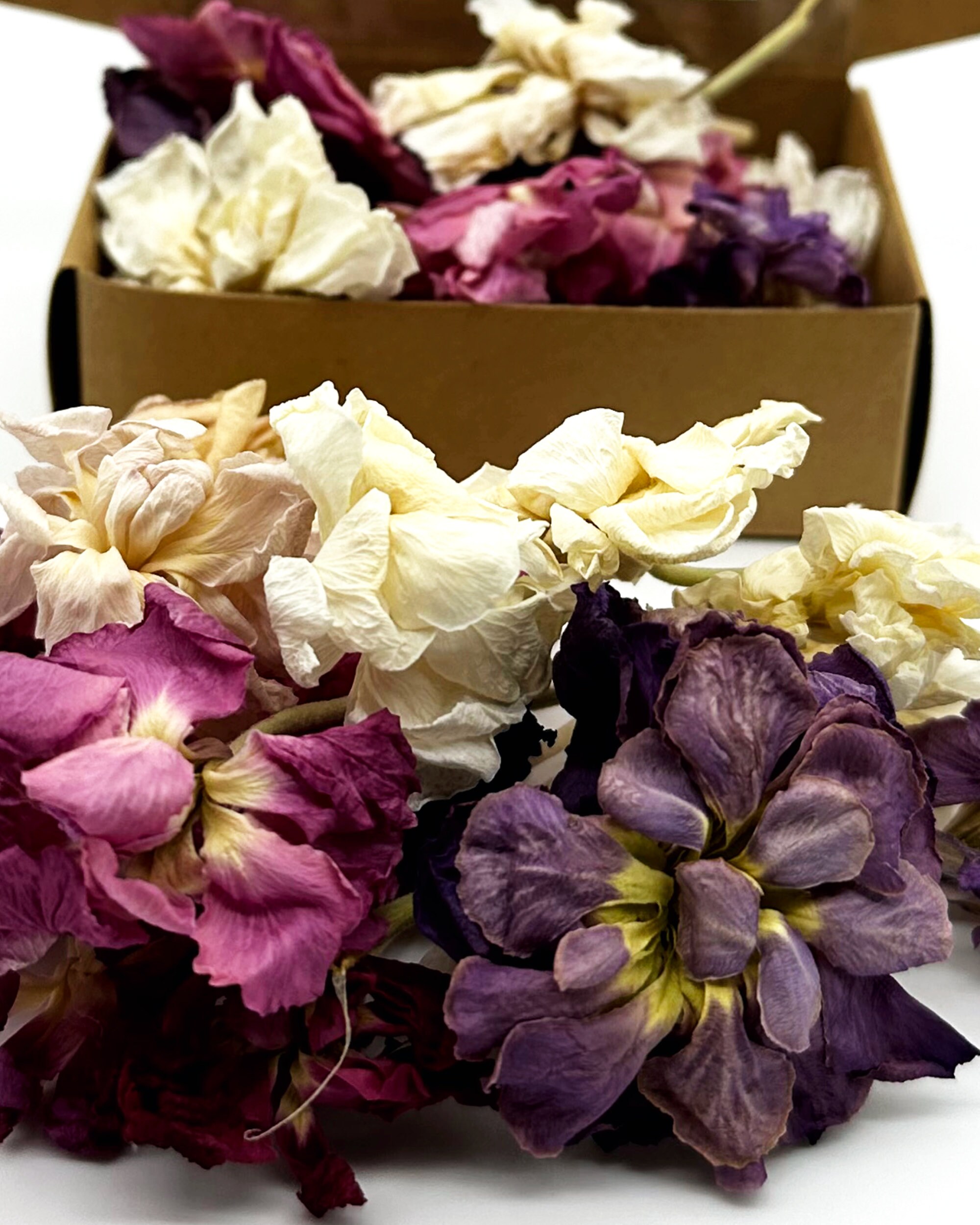 Freeze Dried Flower Edible Stock Etsy