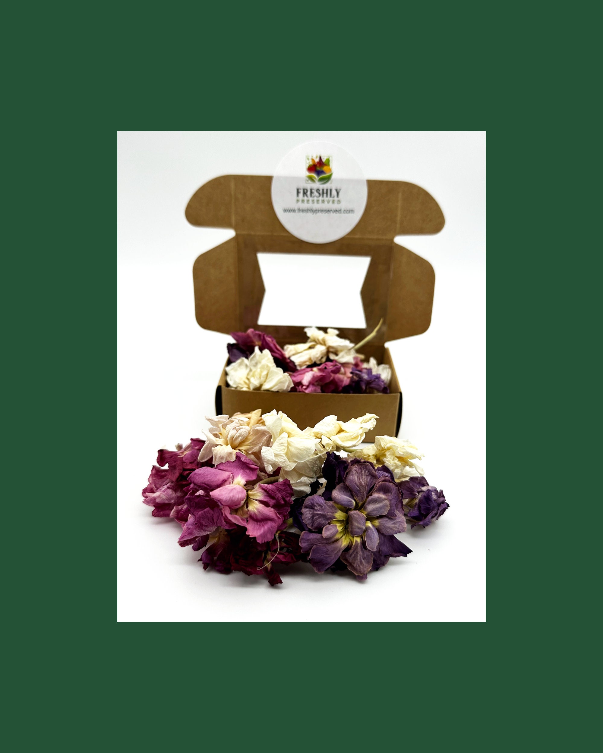 Freeze Dried Flower Edible Stock Etsy