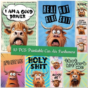 Printable Sarcasm Car Air Freshener Templates Sarcastic Sublimation Designs Custom Design Funny Air Freshener Bundle Funny Air Freshners