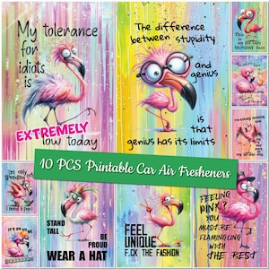 Printable Sarcasm Car Air Freshener Templates Sarcastic Sublimation Designs Custom Design Funny Air Freshener Bundle Funny Flamingo Freshner