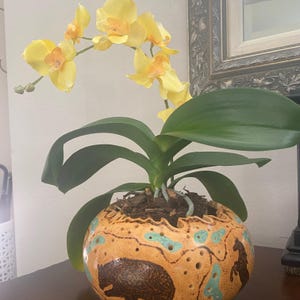 May include: A yellow orchid plant with green leaves potted in a round, tan ceramic vessel. The vessel features a textured surface with small holes, turquoise accents, and dark brown silhouettes of a buffalo and a horse around the exterior.