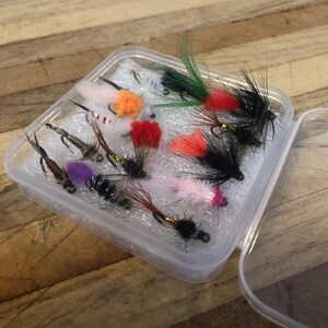 May include: A clear plastic box filled with colorful fishing flies. The flies have various colors, including red, orange, green, and black, with feathery textures. The box is open, revealing the assortment of artificial lures.