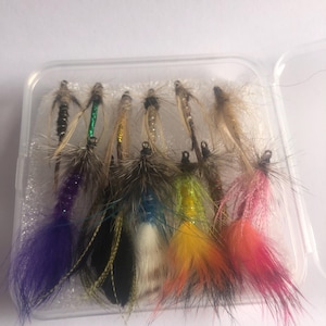 May include: A clear plastic case filled with colorful fishing flies. The flies have various colors of feathers, including purple, pink, yellow, and blue. Each fly has a small hook and is designed for catching fish.