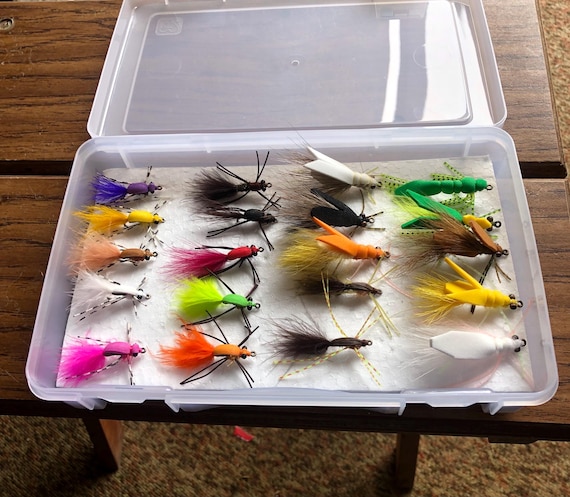 bass slab lures Nomad Tackle Ultimate Bundle Lawless Lures - Booby the Rapala Slab Rap Color:Sand Flea xs
