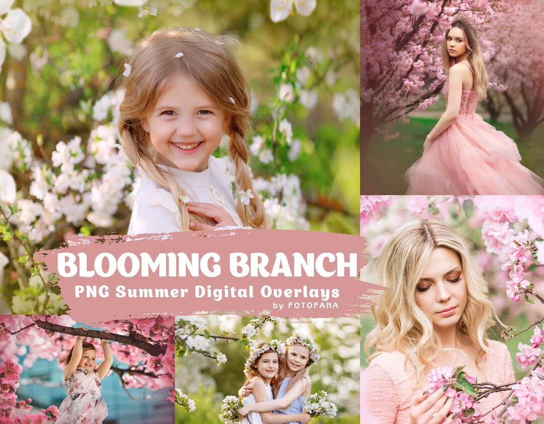 45 Blooming Spring Branch Overlays Digital Flowering Trees Cherry ...