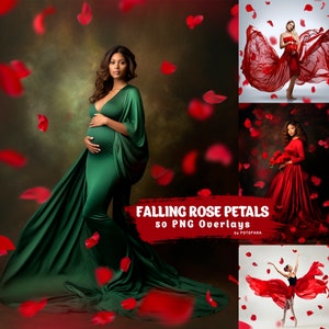 Falling Rose Petals Photo Overlays, Photography Overlay, Digital Overlay, Red  Rose Petals, Digital Scrapbooking, Valentine Overlays 