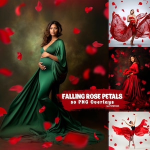 50 pétales de rose rouge superpositions numériques superposition de mariage superpositions Photoshop romantiques Saint-Valentin pétales tombant maternité décors numériques