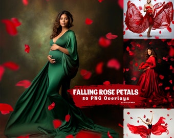 50 pétales de rose rouge superpositions numériques superposition de mariage superpositions Photoshop romantiques Saint-Valentin pétales tombant maternité décors numériques
