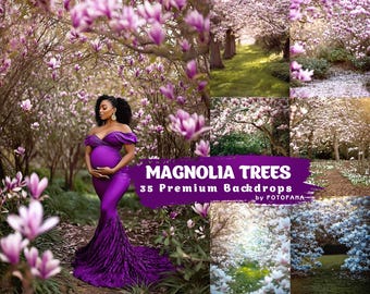 Magnolia Photography Backdrops for Spring Blossom Newborn and Maternity Photoshoots Fine Art Digital Backdrop Overlays for Photoshop Editing