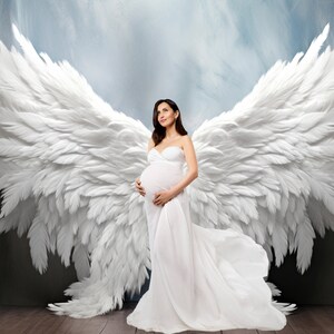 25 Angel Wings Digital Backgrounds Maternity Backdrop Overlays Studio ...