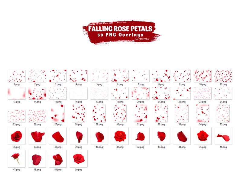 May include: Fifty red rose petals falling on a white background. The petals are arranged in a grid pattern, with each image numbered. The images are labeled with the file name, such as "1.png", "2.png", etc.