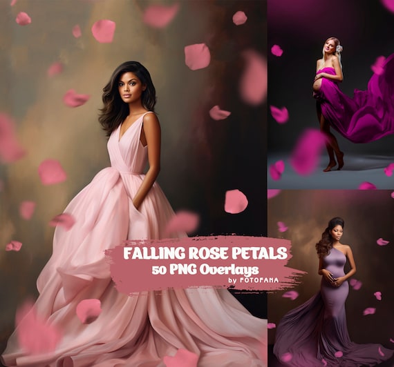 50 Pink Rose Petals Romantic Maternty Overlays Wedding overlay Photoshop Overlays Valentine's day Falling Petals Maternity Digital backdrops