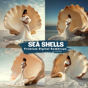May include: Four digital backdrop images featuring a pregnant person in a flowing white gown posing inside a giant seashell on a beach. The text "SEA SHELLS" and "Premium Digital Backdrops" is visible.