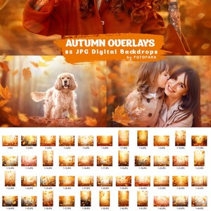 Autumn Overlays for Photoshop Digital Backdrop Autumn Leaves Overlay ...
