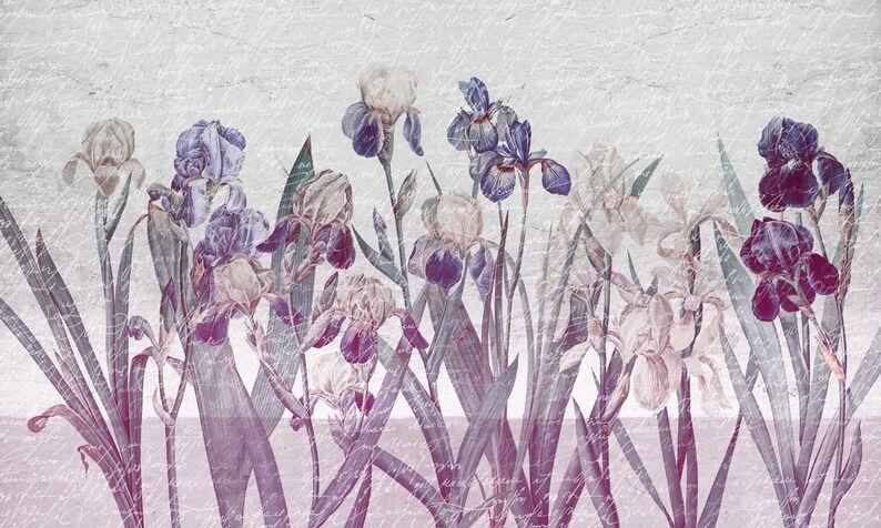 Vintage Iris Flowers Wallpaper, Botanical Wallpaper, Peel and Stick