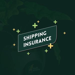 Shipping Insurance from Route (optional add-on)
