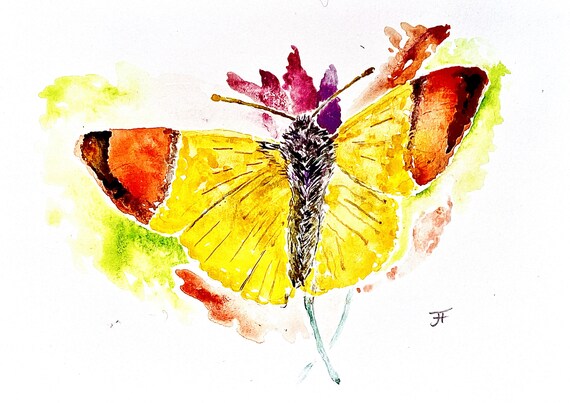 Original watercolor, digital print, art print, handmade, digital download, butterfly, insect, nature, wall decoration, design, insect, art