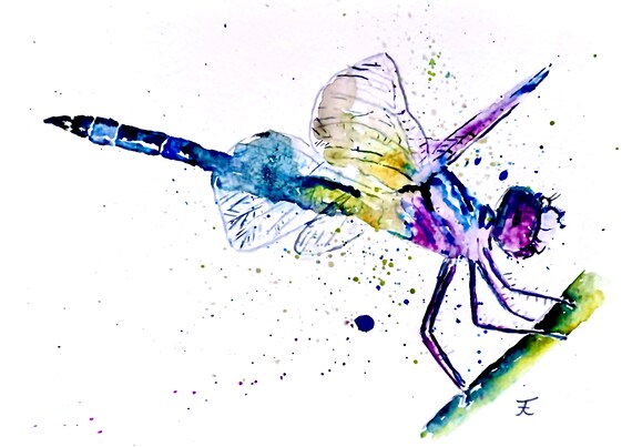 Original watercolor, digital print, art print, handmade, digital download, dragonfly, insect, nature, wall decoration, design, insect, art
