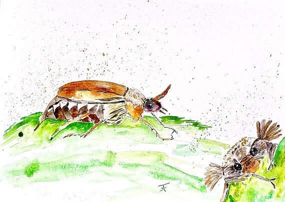 Watercolor picture to print out yourself, directly from the artist, cockchafer, wall decoration, art print