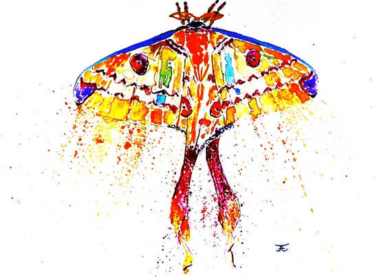 original watercolor, digital print, butterfly, handmade, digital download, insect, nature, wall decoration, design, meteoric, art