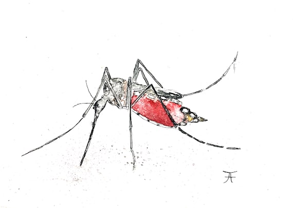 Original watercolor, mosquito, digital print, art print, handmade, digital download, nature, wall decoration, design, insect, art