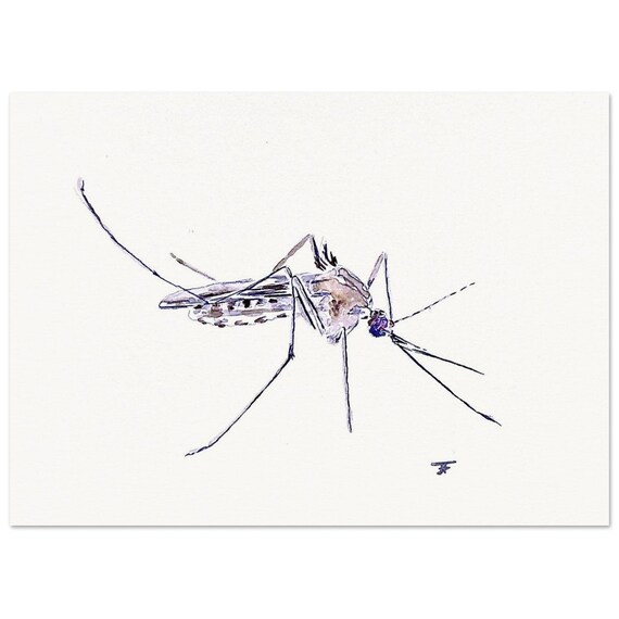hand-painted watercolor, directly from the artist, art print, mosquito, wall decoration, poster, card, gift