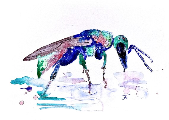 Original watercolor, digital print, art print, handmade, digital download, fly, insect, nature, wall decoration, design, art, digital