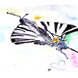 Watercolor picture to print yourself, directly from the artist, butterfly, wall decoration, art print