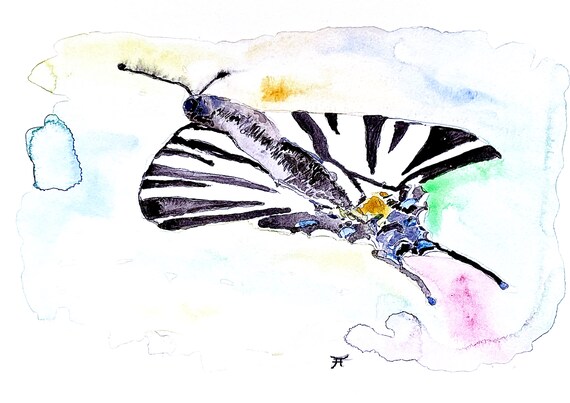 Watercolor picture to print yourself, directly from the artist, butterfly, wall decoration, art print