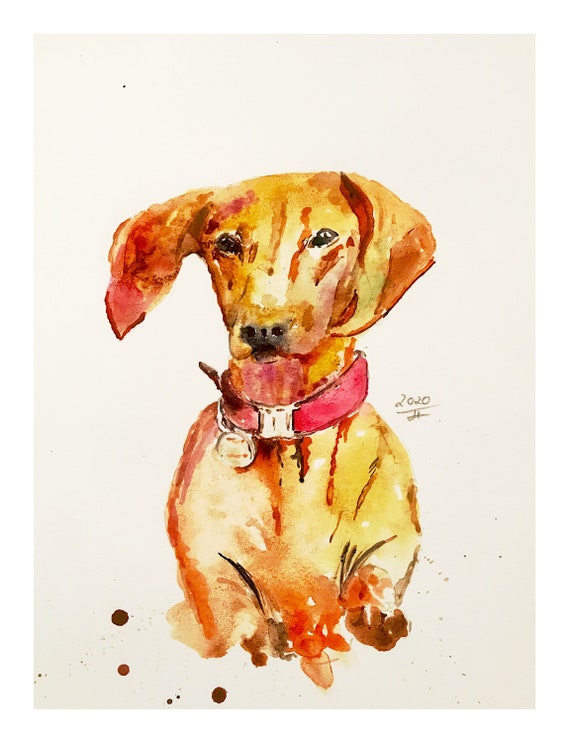 Individual original hand-painted watercolor as a personal animal portrait painted from the photo