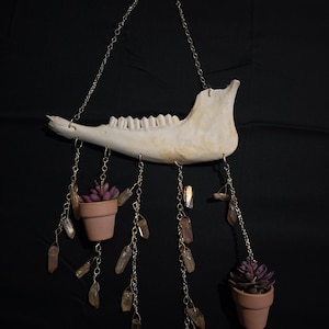Deer jaw crystal hanging wall decor