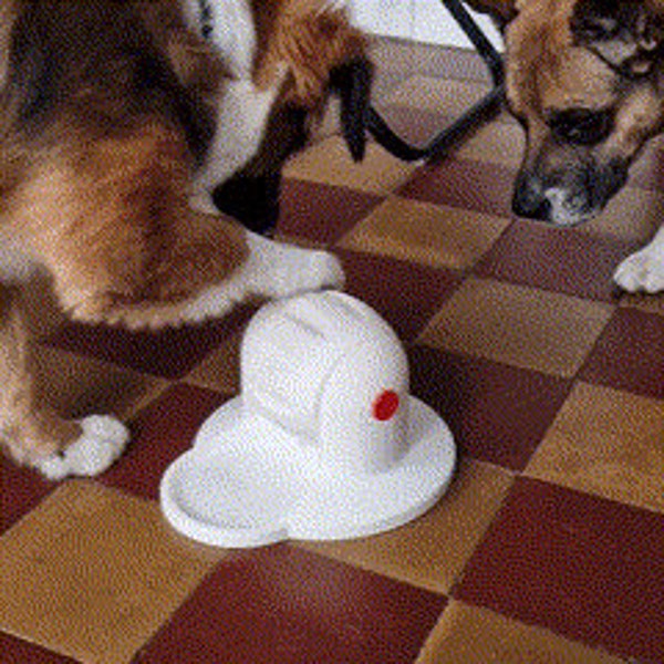 Entertaining kibble dispenser for dogs and cats