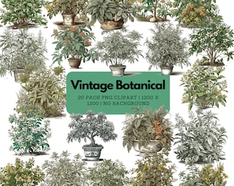 Vintage Botanical Plants Clipart Pack | Vintage Flowers, Vintage Potted Flowers, Vintage Botanical PNG, Flowers PNG | Digital Download