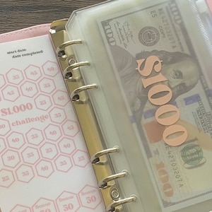 Individual Laminated Pink Savings Challenge | 500, 1000, 5000, 52 Week, 26 Week Challenges | A6 Binder Savings Challenge