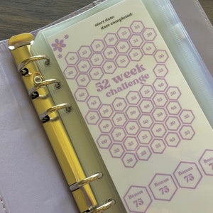 Complete Budget Book Savings Challenge Starter Kit | Save 9500+| Set of 5 Laminated Savings Challenges Bundle With Labeled Zipper Envelopes