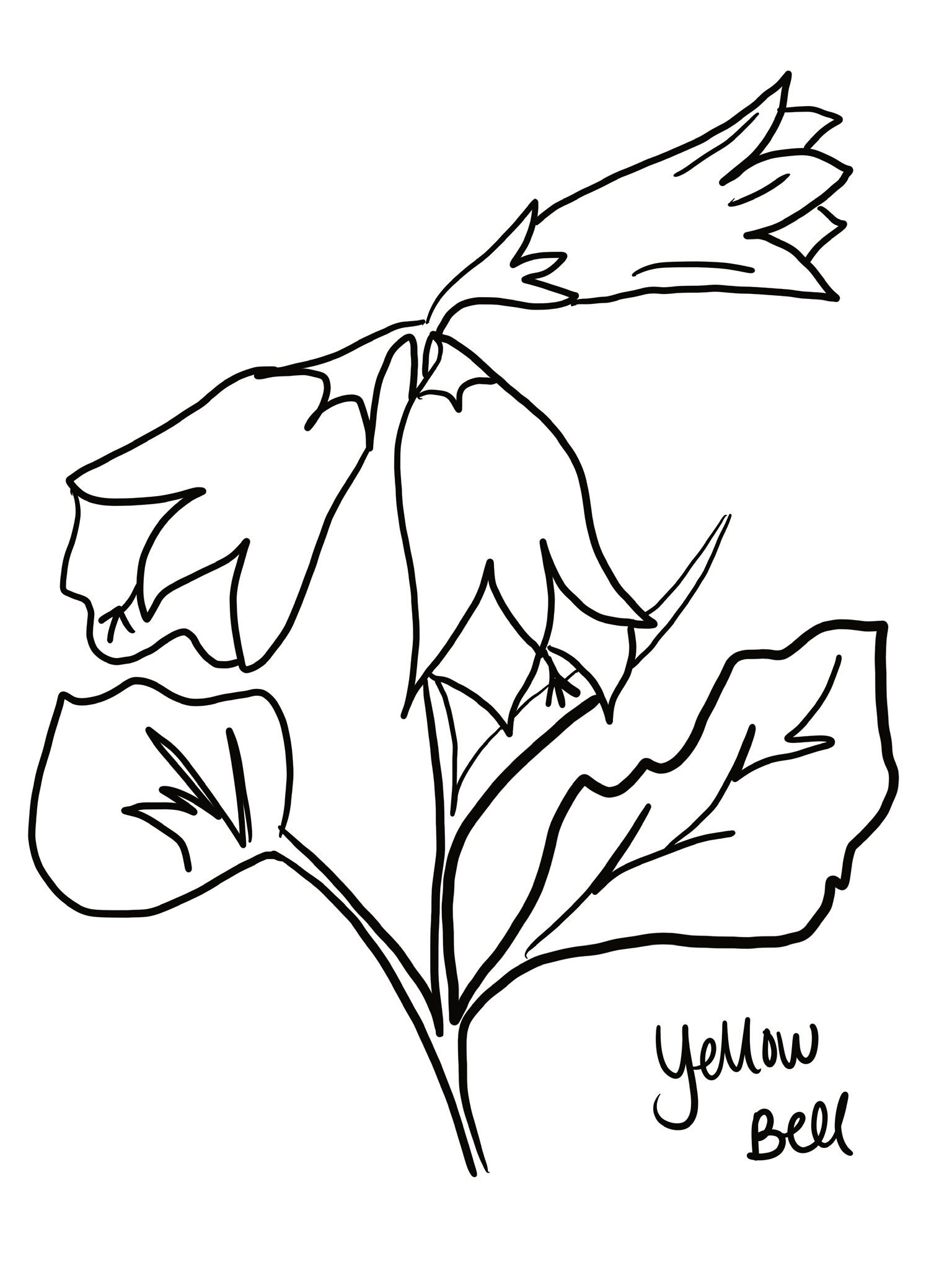 Yellow Bell Flower Coloring Page Etsy