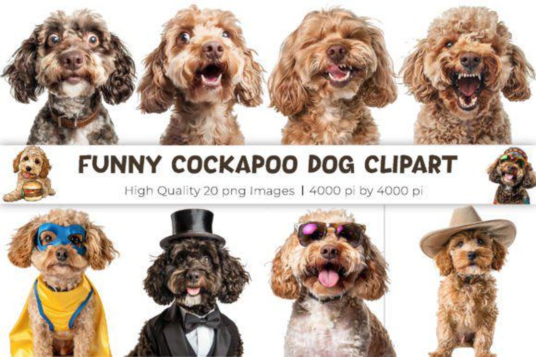 20 Seamless Cockapoo Dog Funny Paper Pack, Digital Download for ...