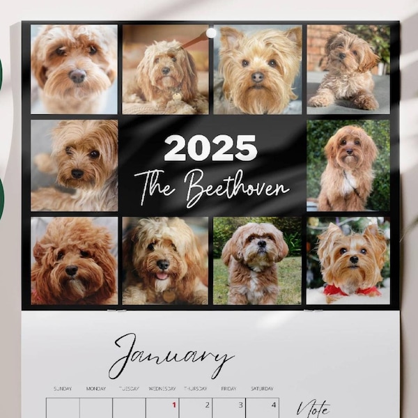 The Paw Print Calendar 2025 Etsy
