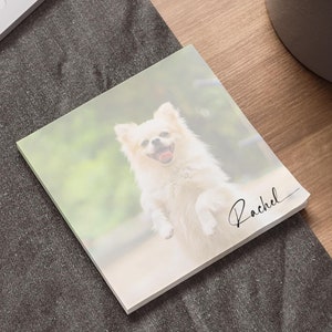 Può includere: Un cane bianco con la lingua rosa che sporge salta in aria. Il cane è a fuoco e lo sfondo è sfocato. Il testo "Rachel" è scritto in corsivo nell'angolo in basso a destra dell'immagine.